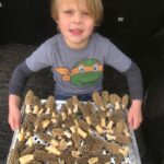 Brooks tray of morels